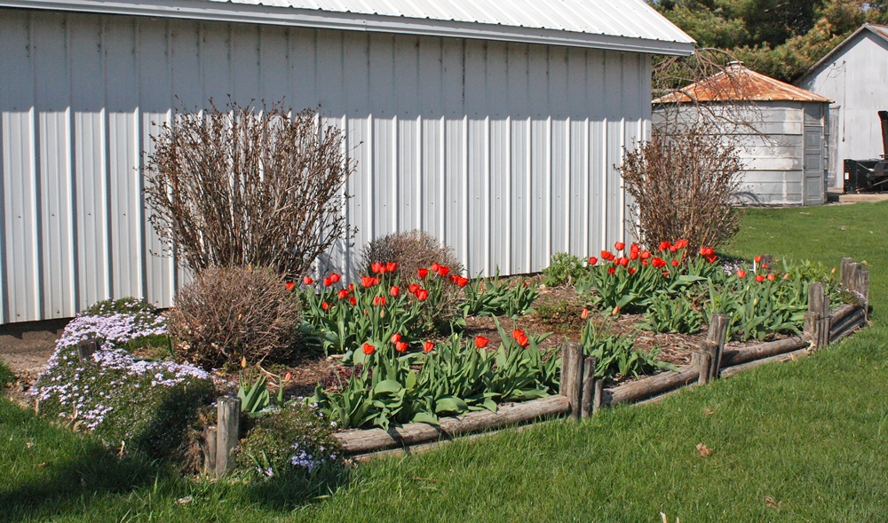 Marble Rock Master Gardener provides tips for newbies Marble Rock Master Gardener provides tips for newbies
